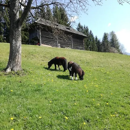 Haus Oswald Am *
