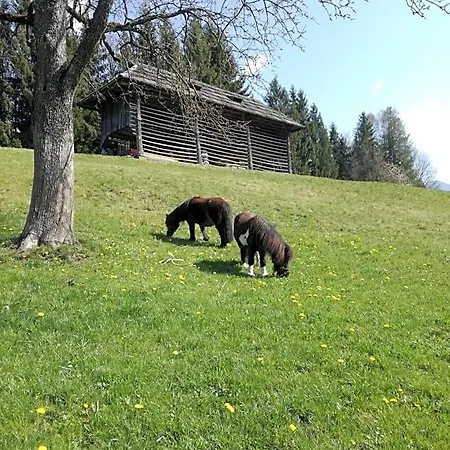 Haus Oswald Am B&B 3*