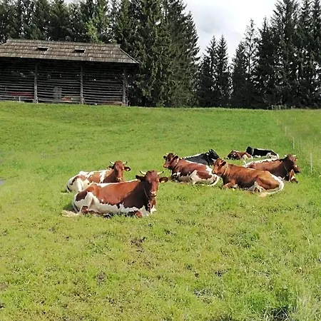 Haus Oswald Am