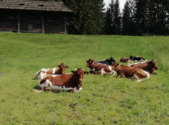 Haus Oswald Am Hermagor-Pressegger See